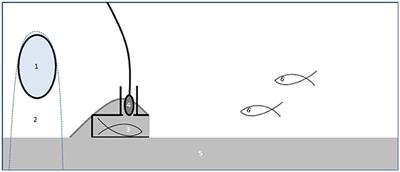 Noise Affects Multimodal Communication During Courtship in a Marine Fish